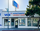 VCA Urgent Care - Mar Vista Exterior Photo