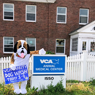 /-/media/2/vca/images/hospitals/united-states/new-hampshire/animal-medical-center-portsmouth/galleries/185x185_amcportsmouthnh_hospital2.ashx